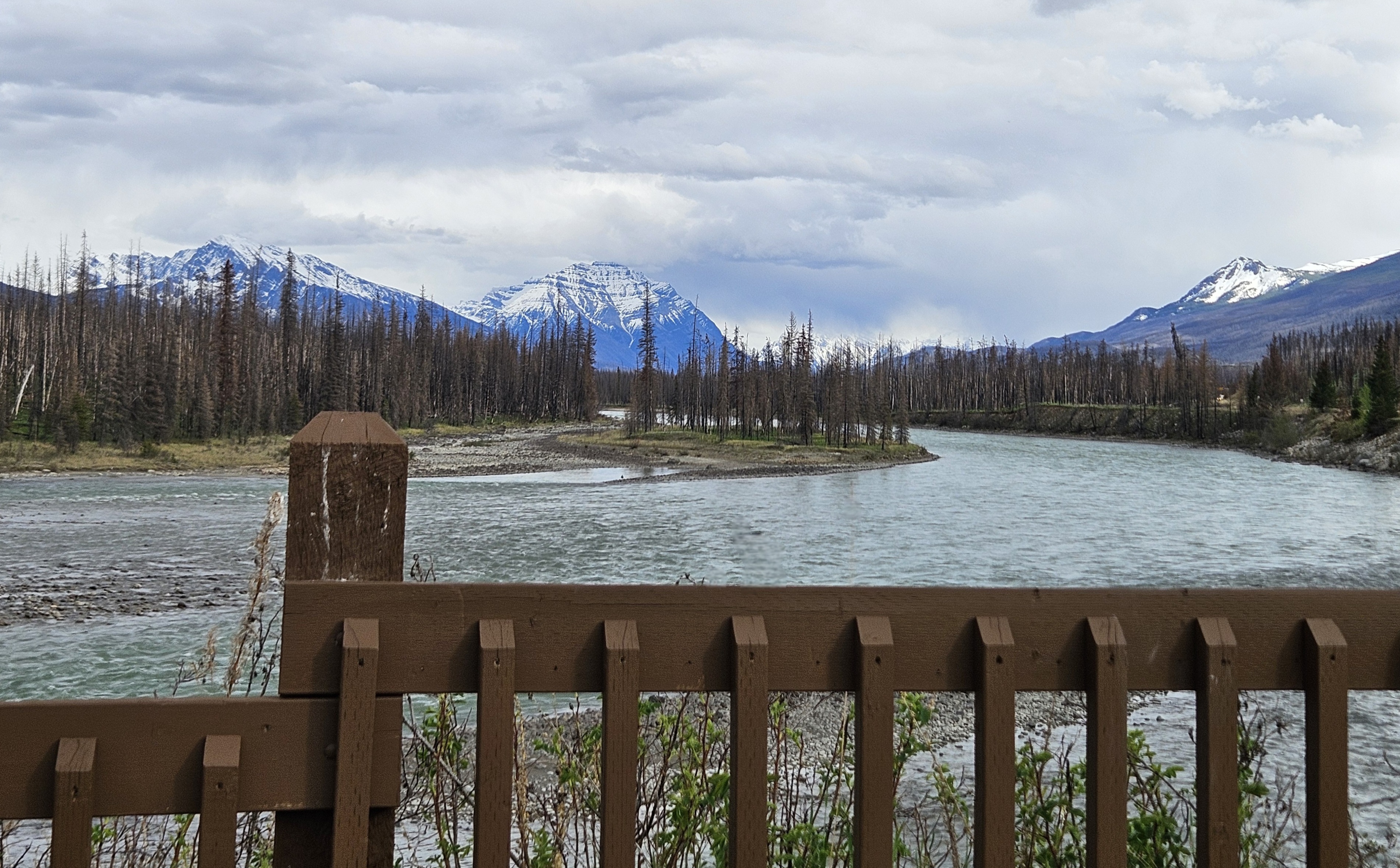Blogging Again-Jasper National Park