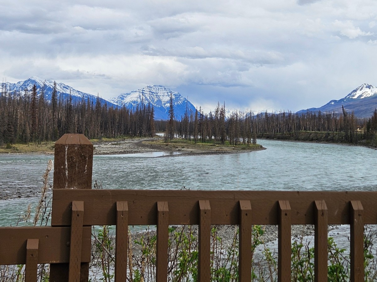Blogging Again-Jasper National&nbsp;Park